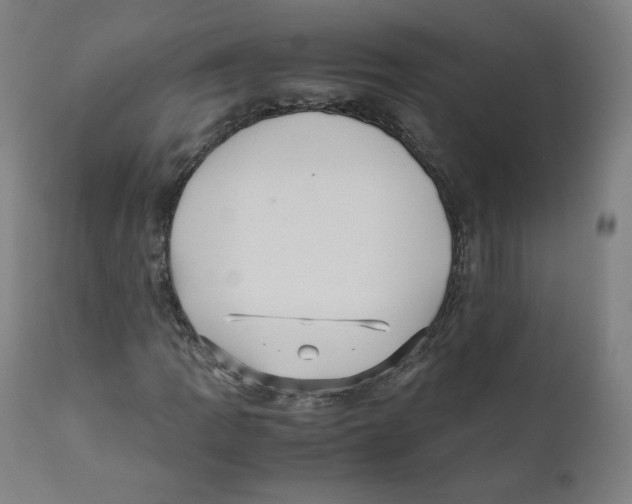 X0000110711109200907101237