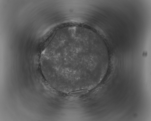 X0000110711110200907101237