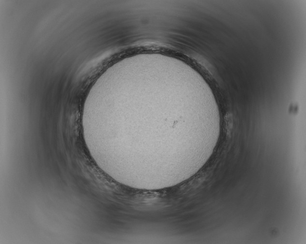 X0000110711111200907101237