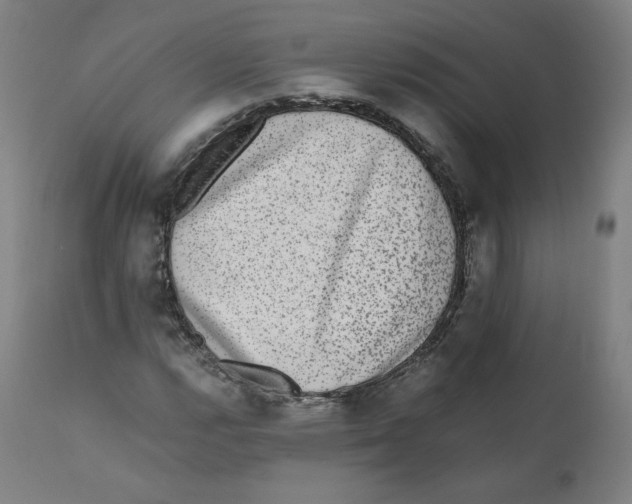 X0000110711112200907101237