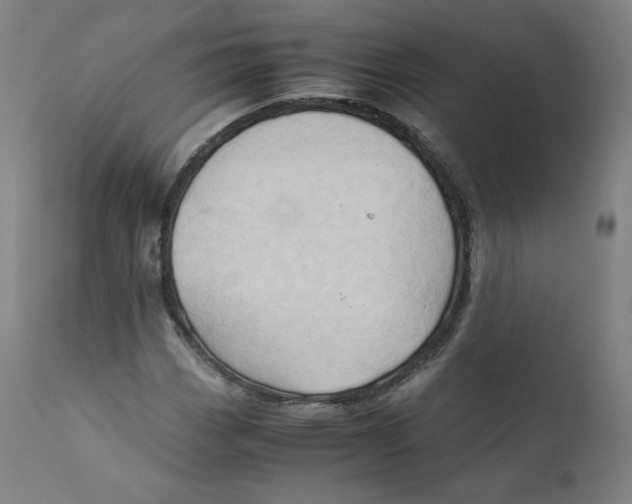 X0000110711113200907101237