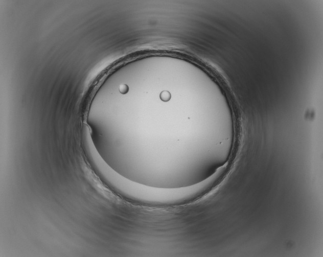 X0000110711114200907101237