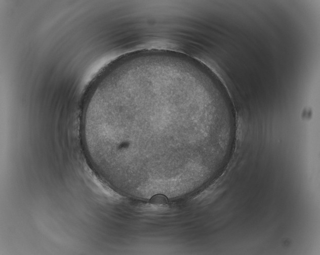 X0000110711115200907101237