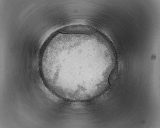 X0000110711116200907101237