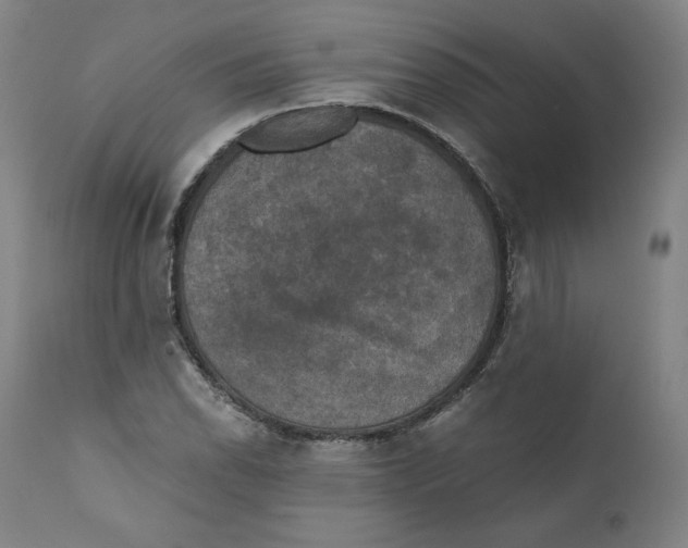 X0000110711118200907101238