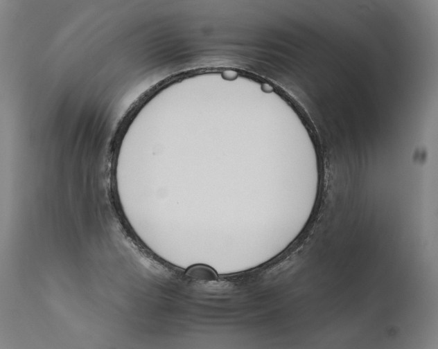 X0000110711119200907101238