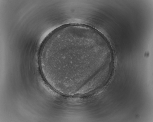 X0000110711120200907101238