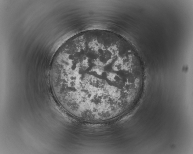 X0000110711121200907101238