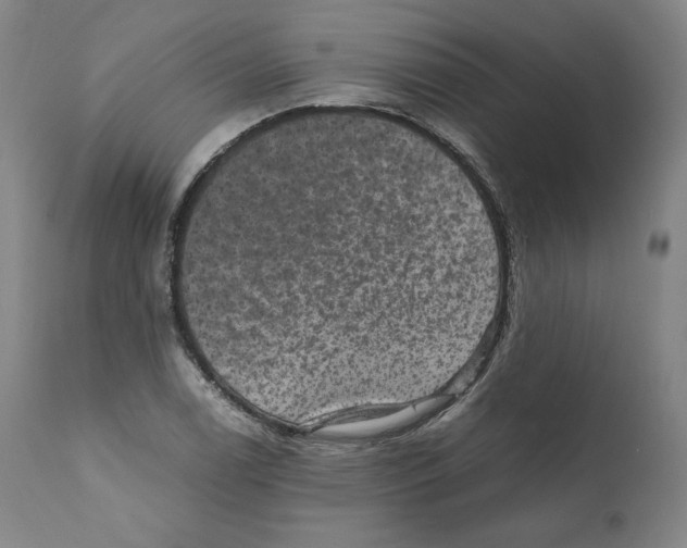 X0000110711122200907101238