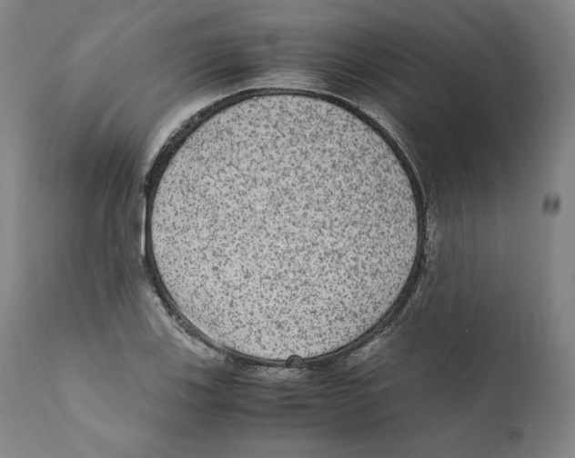 X0000110711123200907101238