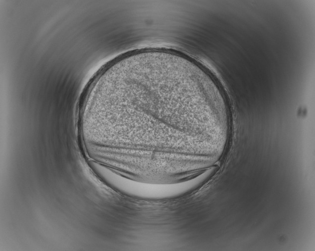 X0000110711124200907101238