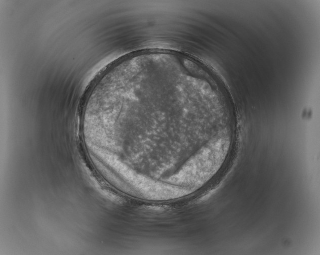 X0000110711125200907101238