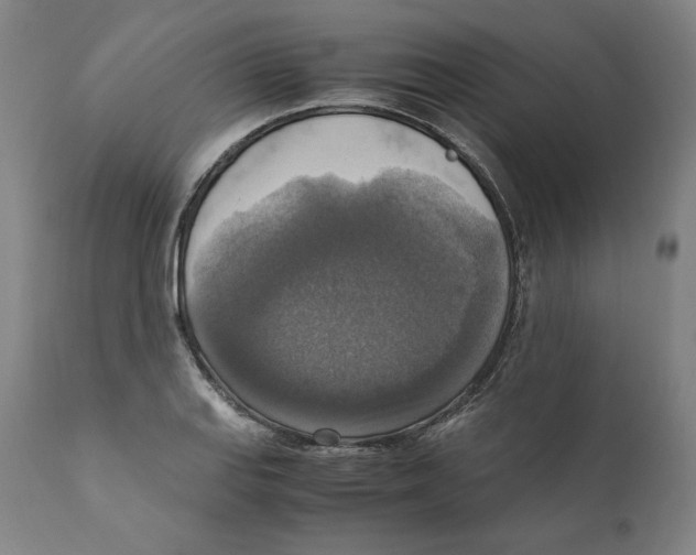 X0000110711127200907101238