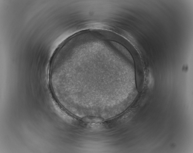 X0000110711128200907101238