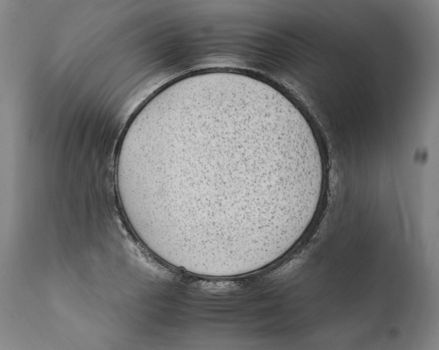 X0000110711129200907101238