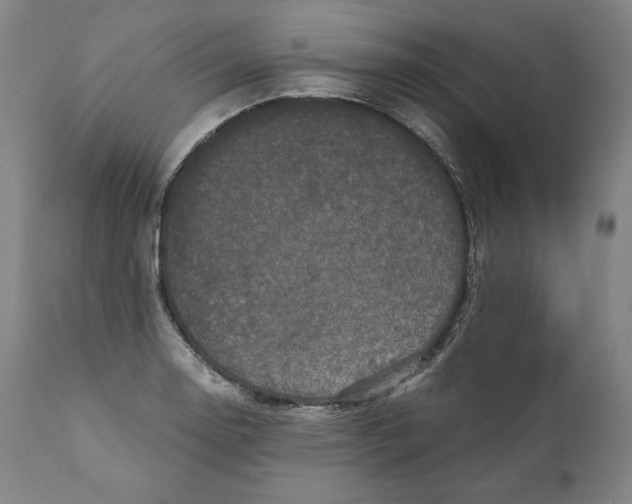 X0000110711130200907101238