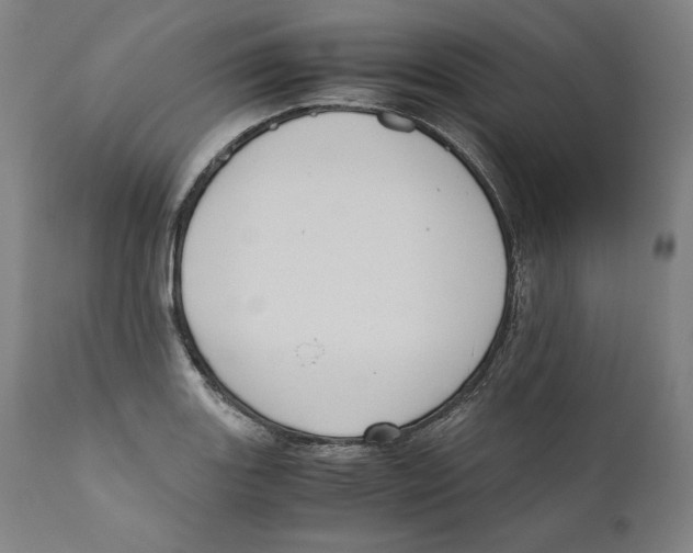 X0000110711131200907101238