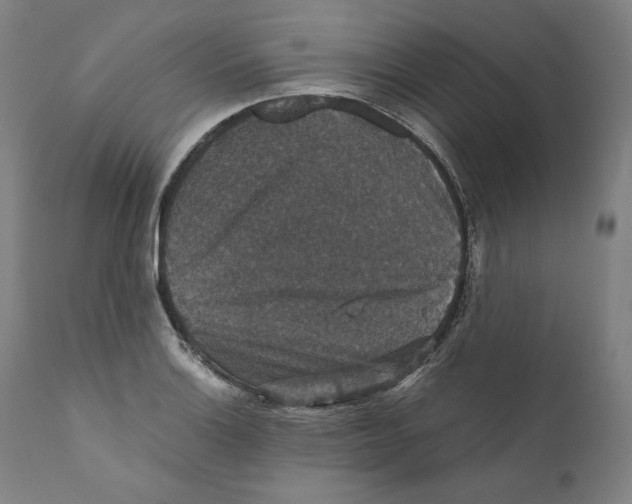 X0000110711132200907101238