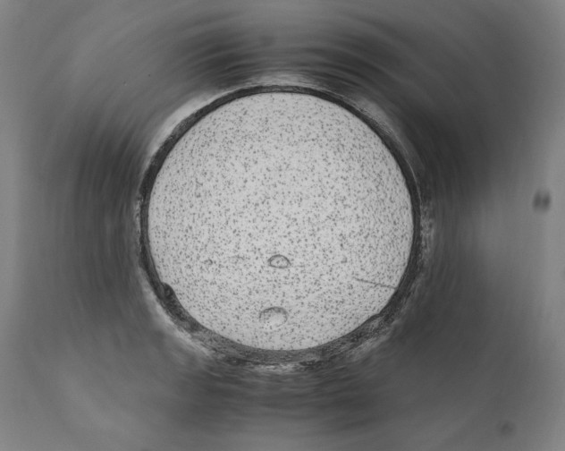 X0000110711133200907101238