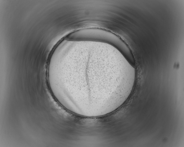 X0000110711134200907101238