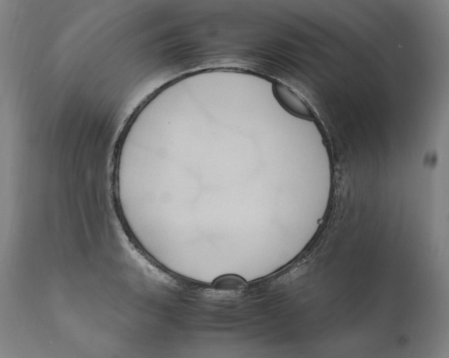 X0000110711135200907101238