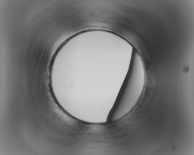 X0000110711136200907101238