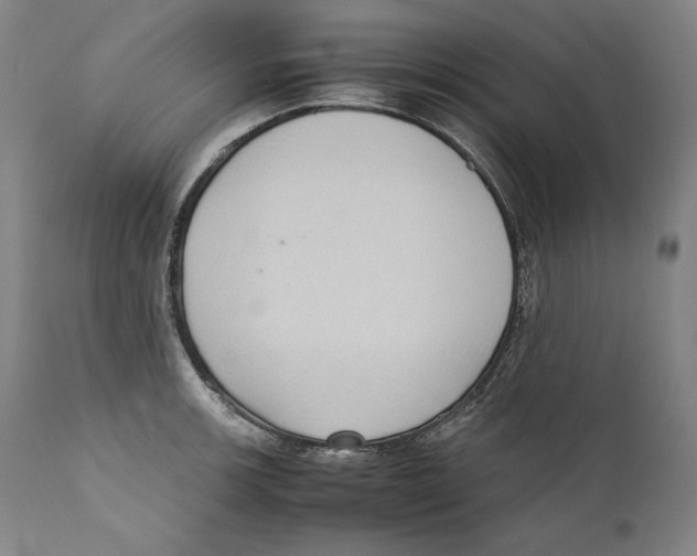 X0000110711139200907101238