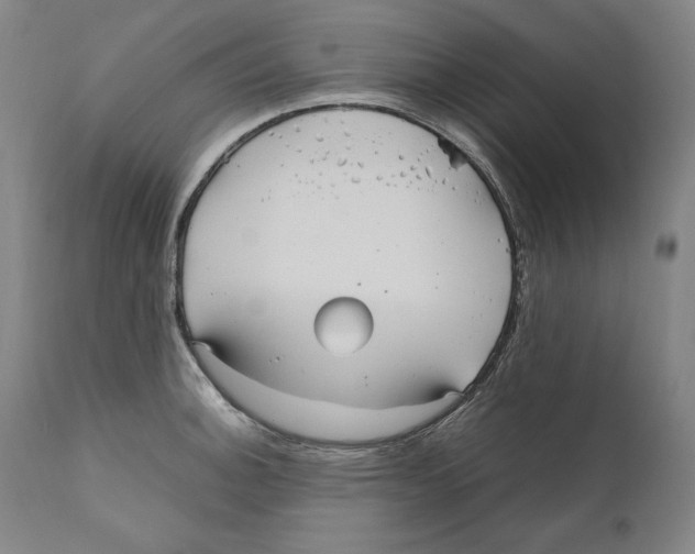 X0000110711140200907101238