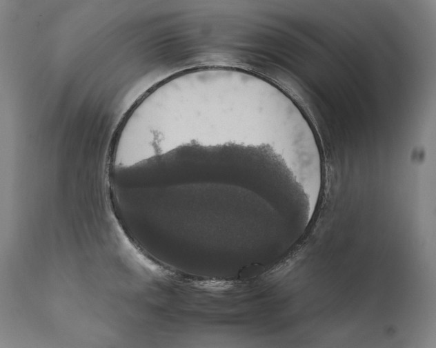 X0000110711141200907101238