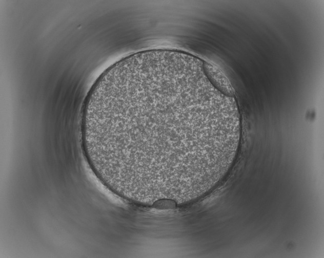 X0000110711142200907101238