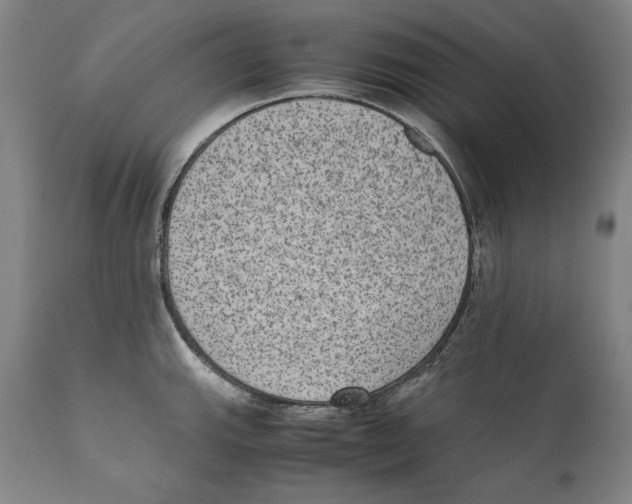 X0000110711143200907101238