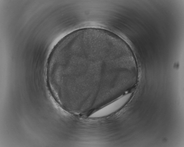 X0000110711144200907101238