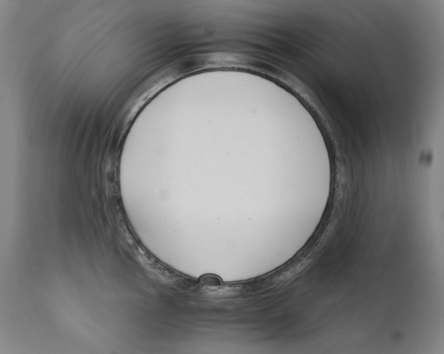 X0000110711145200907101238