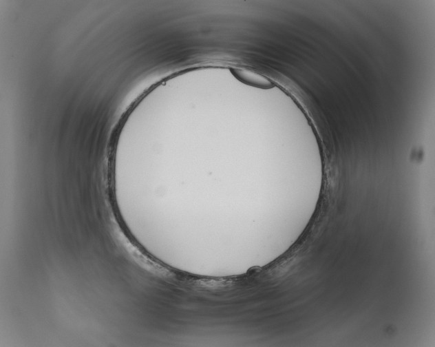 X0000110711147200907101238