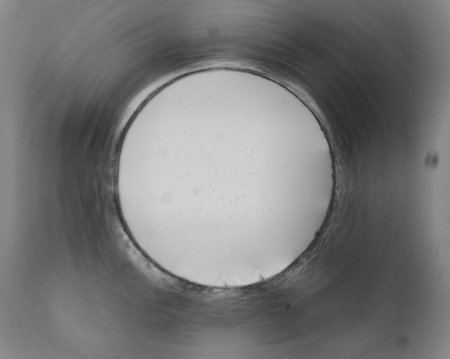 X0000110711148200907101238