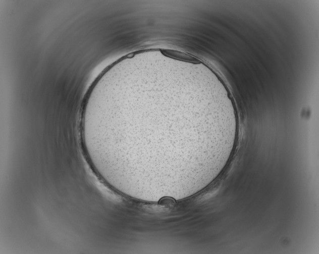 X0000110711149200907101238