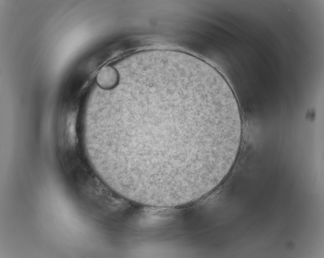 X0000110711150200907101238