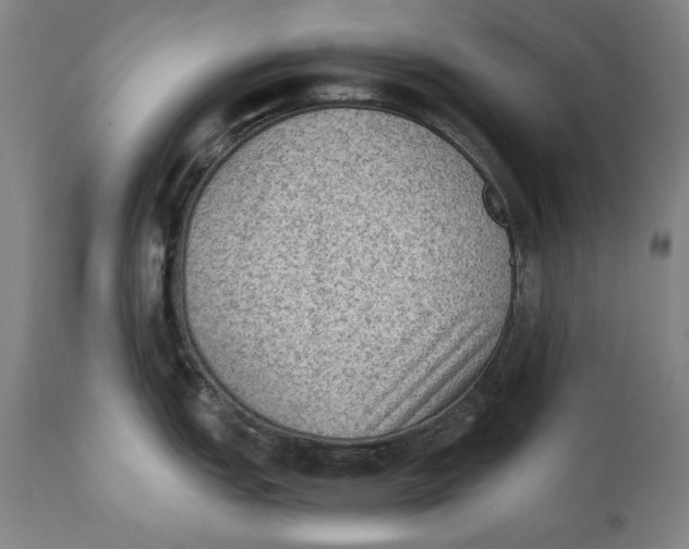 X0000110711151200907101238