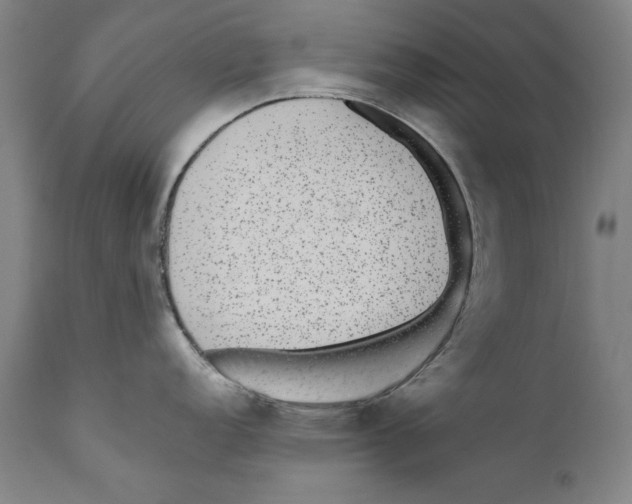 X0000110711152200907101238