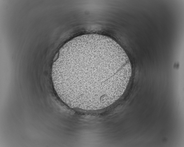 X0000110711153200907101237