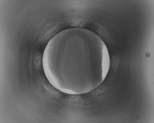 X0000110711154200907101237