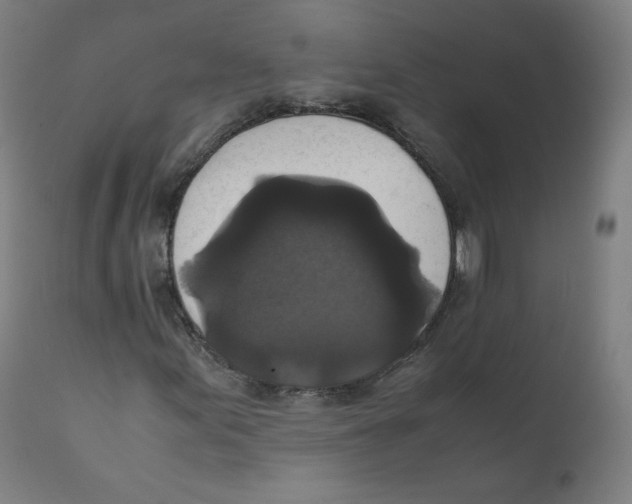 X0000110711155200907101237