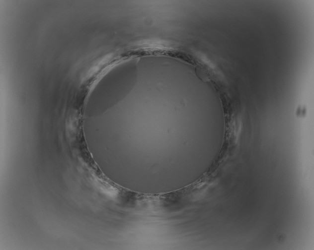 X0000110711157200907101237