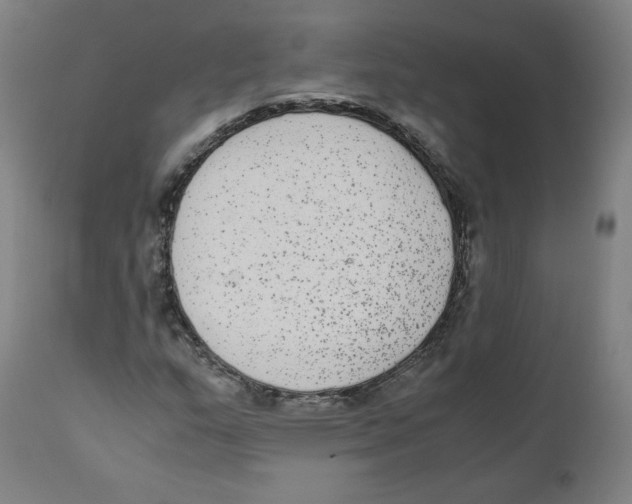 X0000110711159200907101237