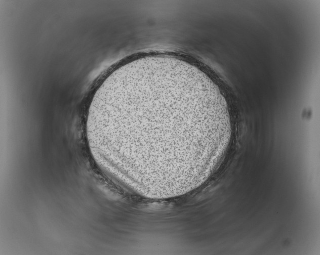 X0000110711160200907101237