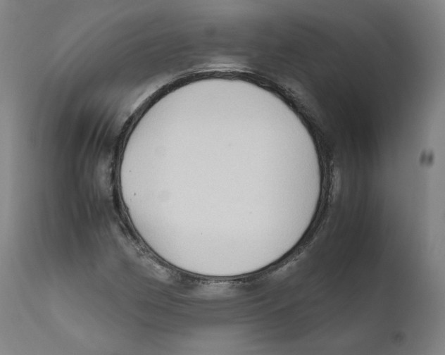 X0000110711162200907101237