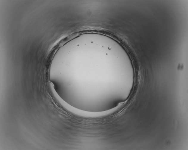 X0000110711165200907101237