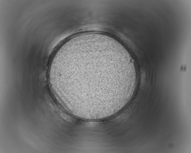 X0000110711166200907101237