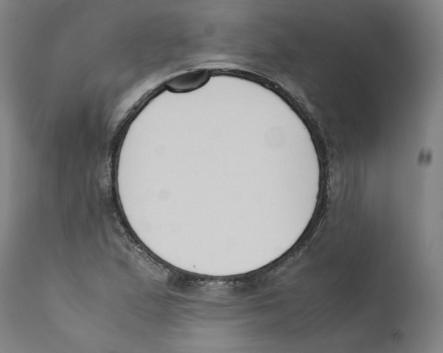 X0000110711167200907101237