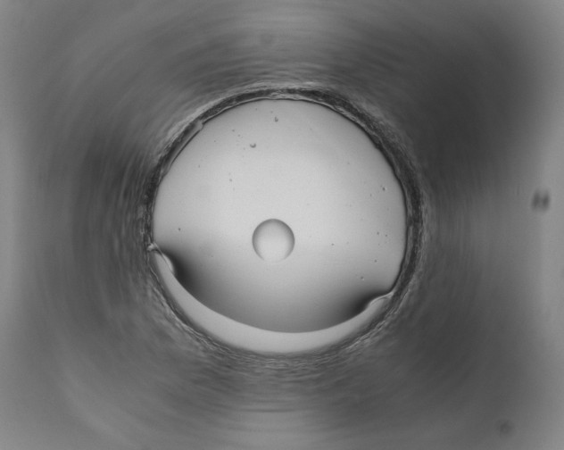 X0000110711169200907101237